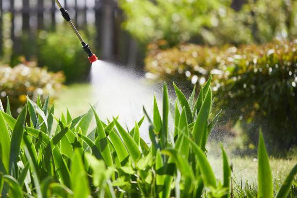 24/7 Emergency Bed Bug Control experts in Sandy Springs, GA
