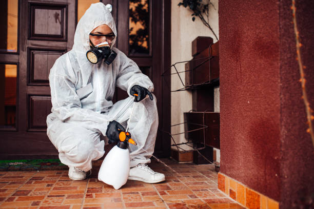Reliable Bed Bug Control contractor in Sandy Springs, GA by Nex Pest Control