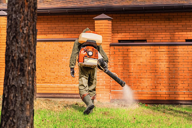 Trusted Fumigation Services service in Sandy Springs, GA - Nex Pest Control